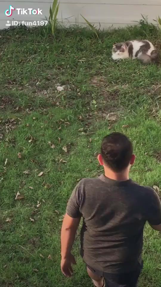 TikTok video thumbnail by fun_168