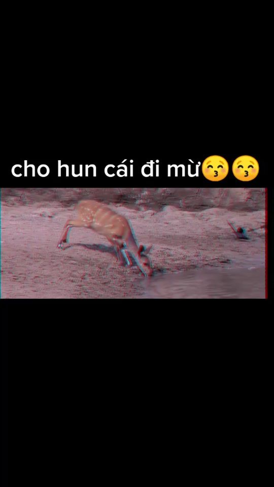 TikTok video thumbnail by minhcuong.2k
