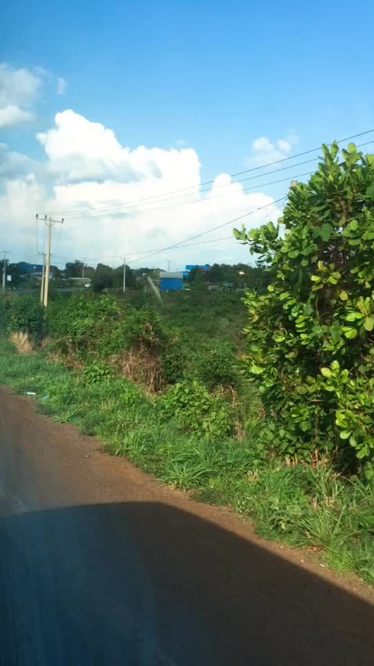 TikTok video thumbnail by 2167816311