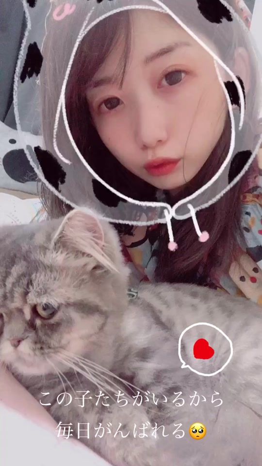 TikTok video thumbnail by renmaru0925_m