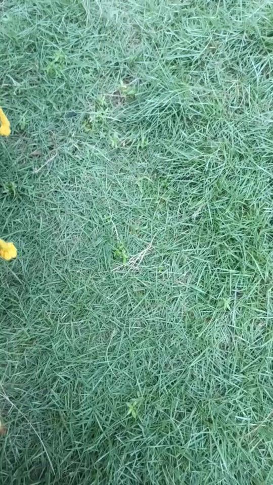 TikTok video thumbnail by juethitsarzaw25