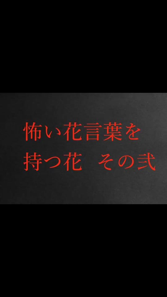 TikTok video thumbnail by d_class_staff_
