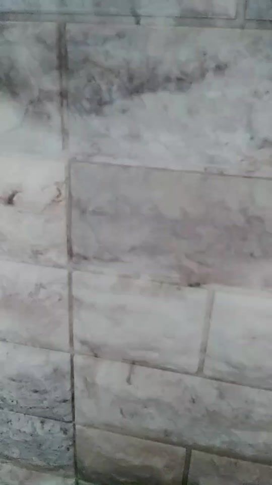 TikTok video thumbnail by kimj082