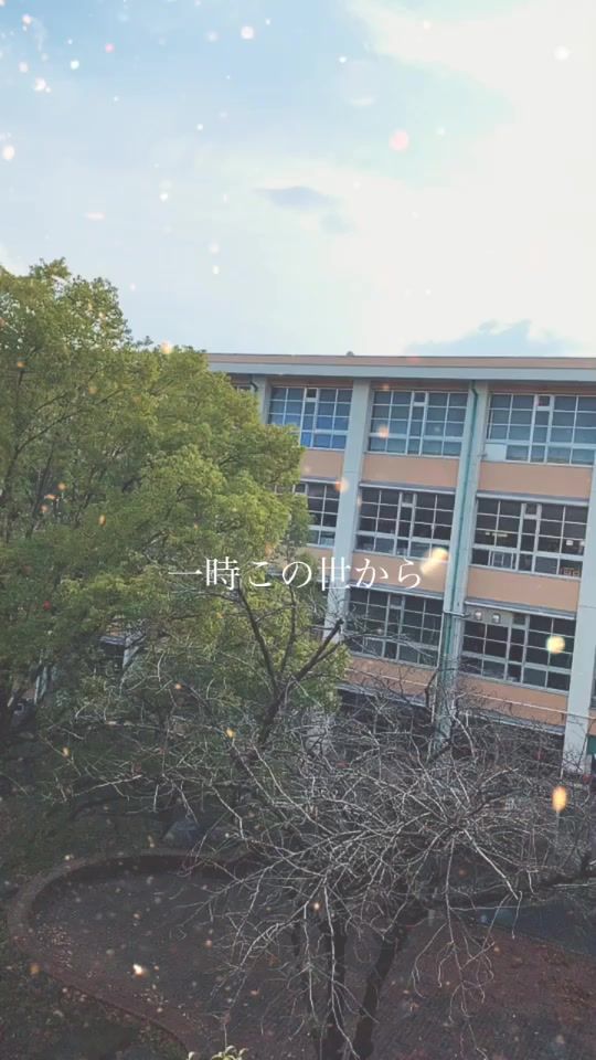 TikTok video thumbnail by userlno1rppnm8