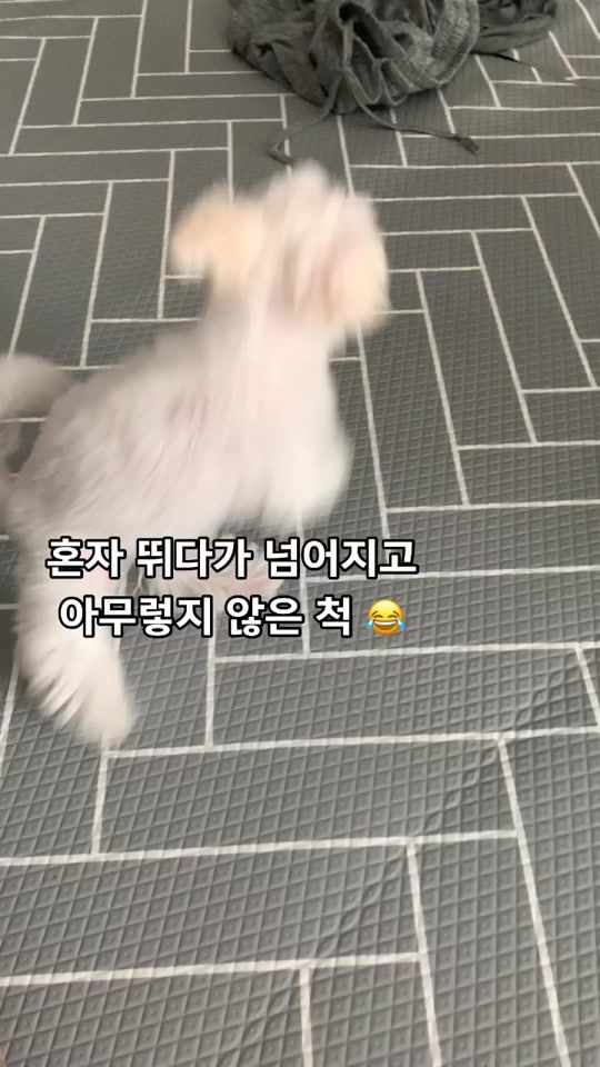 TikTok video thumbnail by blanc_aube