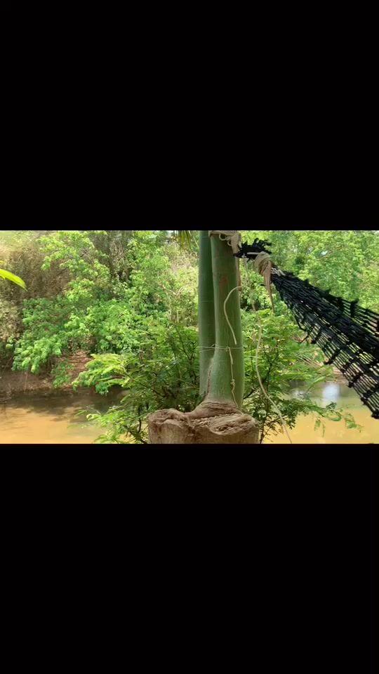 TikTok video thumbnail by mew098l