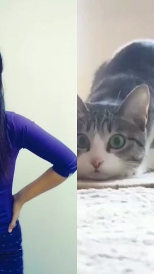 TikTok video thumbnail by wynechit84