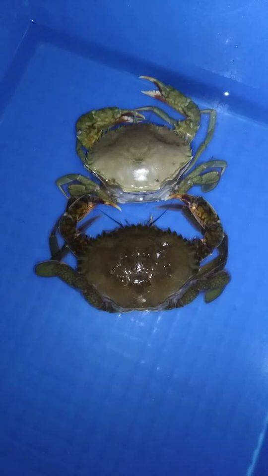 TikTok video thumbnail by r197705290413
