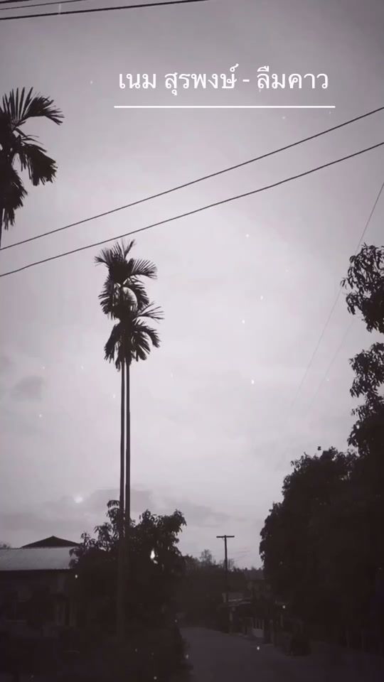 TikTok video thumbnail by toylermean