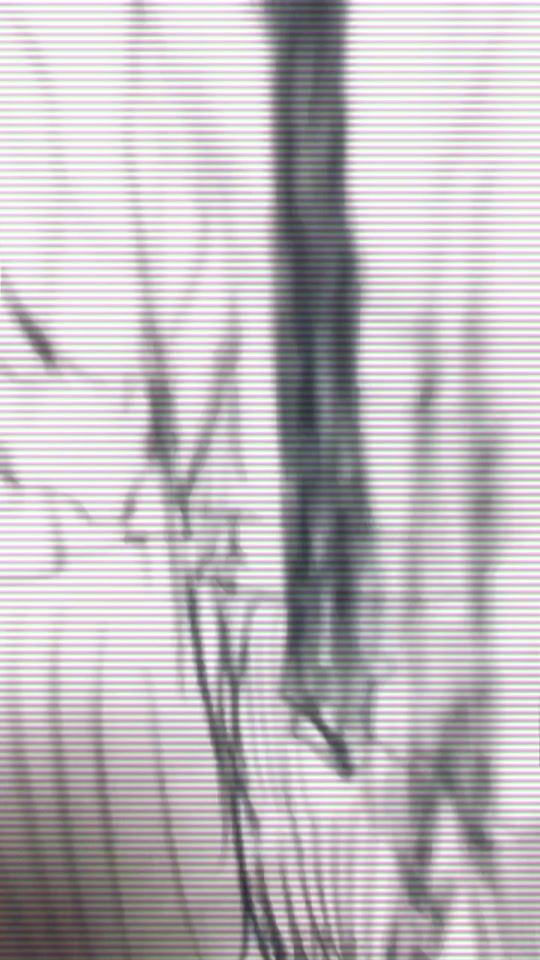 TikTok video thumbnail by ___lielack