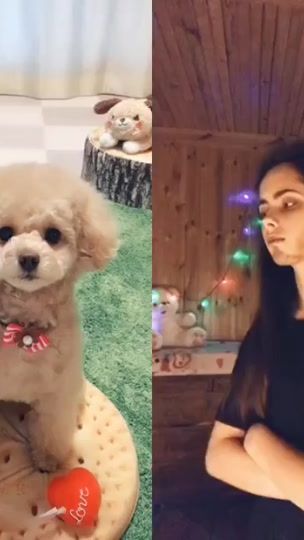 TikTok video thumbnail by iamchiffon