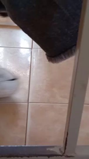 TikTok video thumbnail by t.t.trang2004