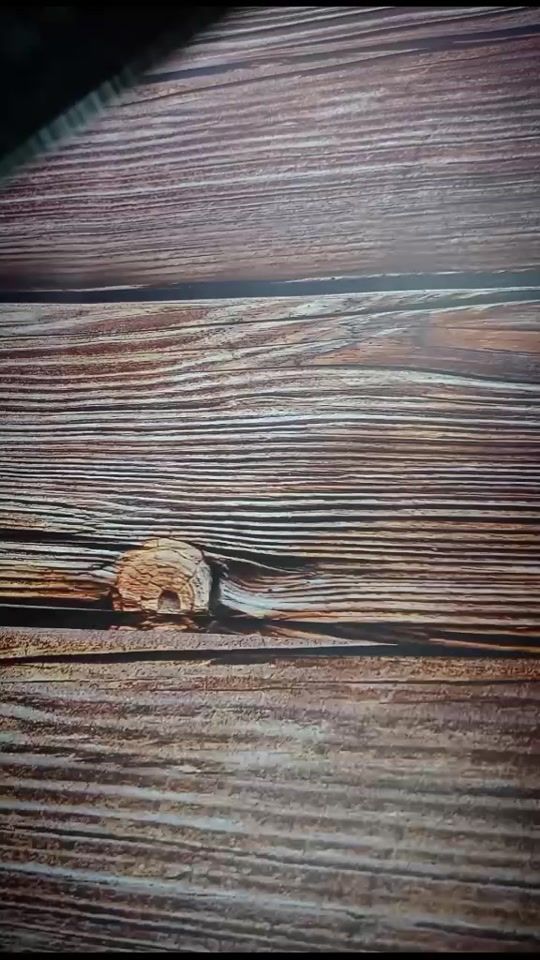 TikTok video thumbnail by beiy02