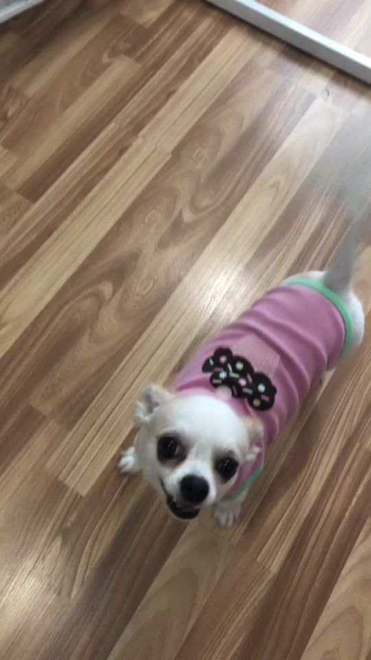 TikTok video thumbnail by o9.9o
