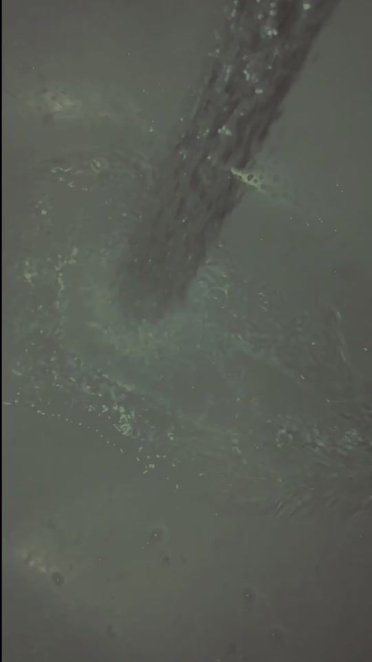 TikTok video thumbnail by sigure_00