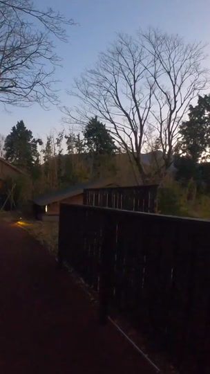TikTok video thumbnail by wmk843474