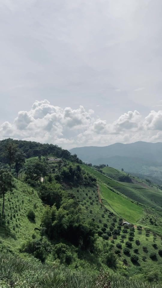 TikTok video thumbnail by wwanmaiccc