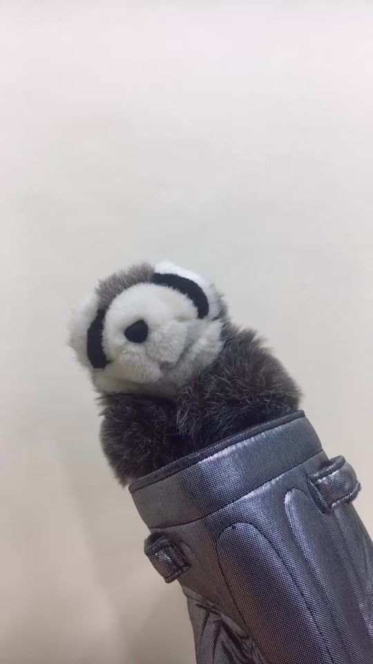 TikTok video thumbnail by jin_guri