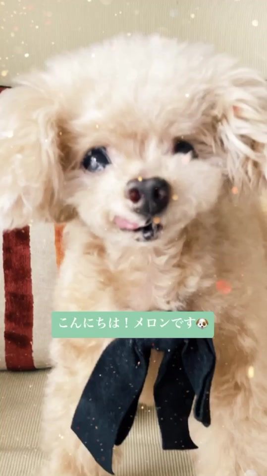 TikTok video thumbnail by kyokofukada_official