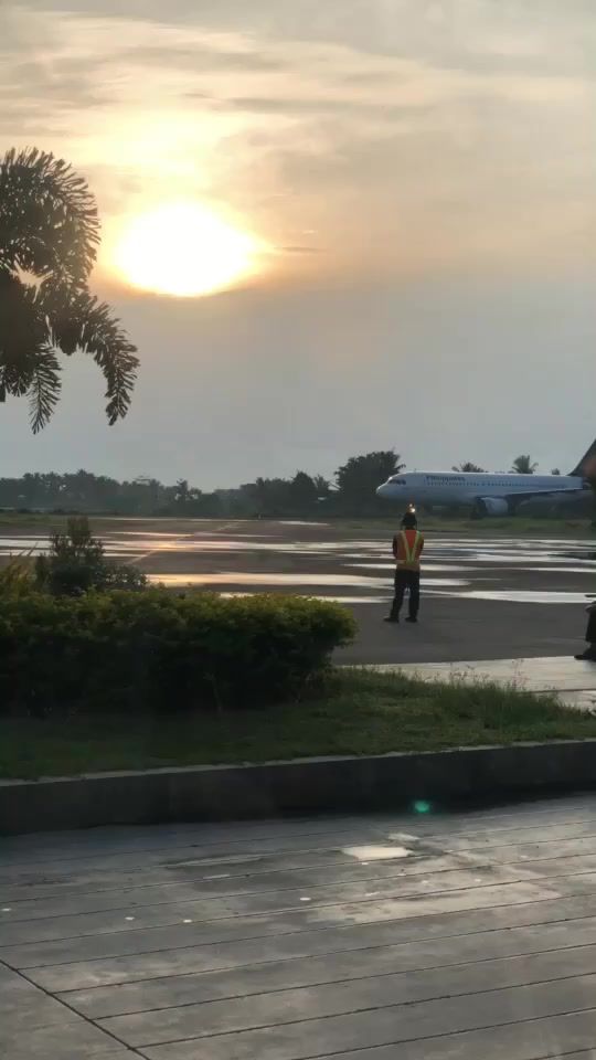 TikTok video thumbnail by wandering_jane