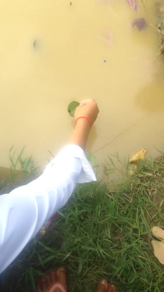 TikTok video thumbnail by 31031137969