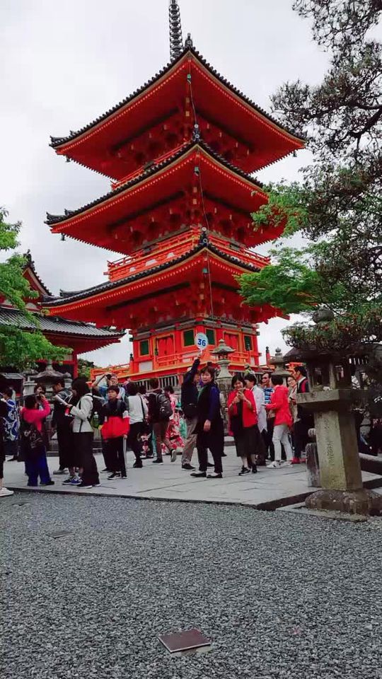 TikTok video thumbnail by alvinchia8