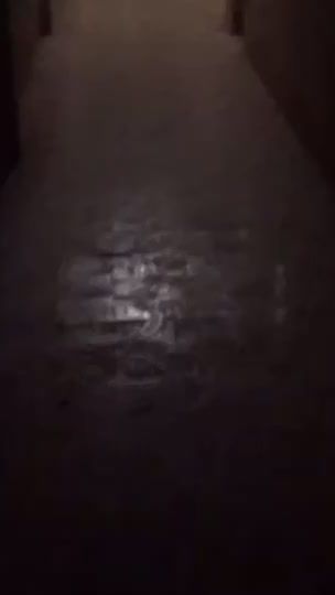 TikTok video thumbnail by long_hihi