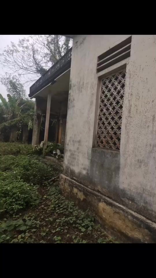 TikTok video thumbnail by linh_anh_1984_2010