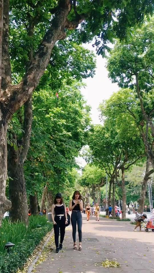 TikTok video thumbnail by buoitay96