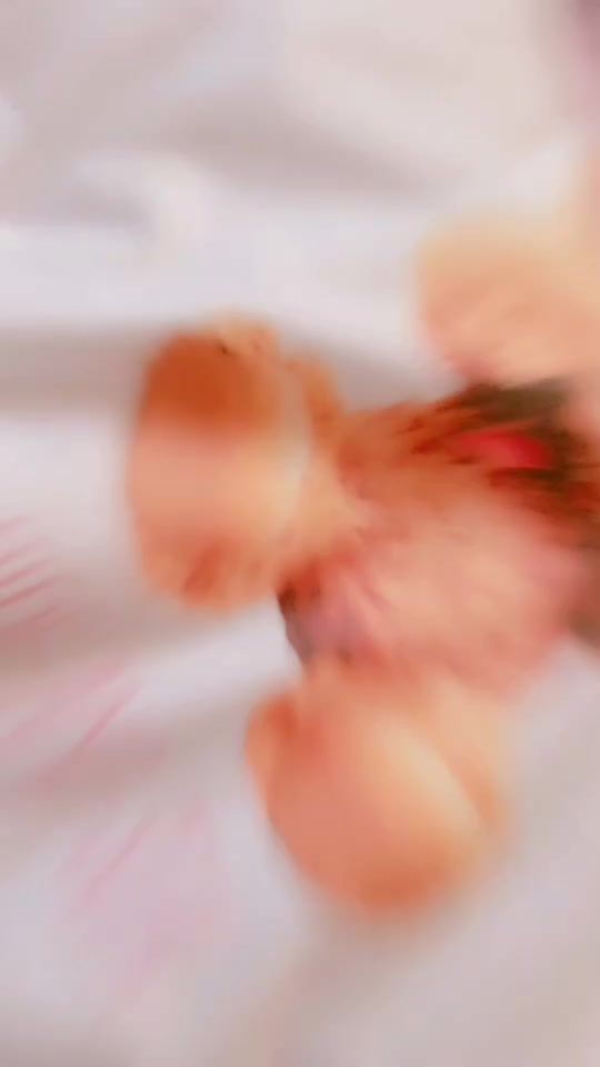 TikTok video thumbnail by 2160312100