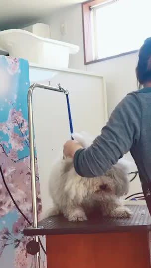 TikTok video thumbnail by amiiiii618