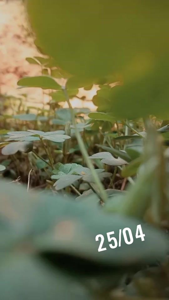 TikTok video thumbnail by hanlay253875