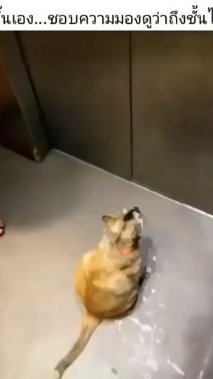 TikTok video thumbnail by ratcha_08.rm