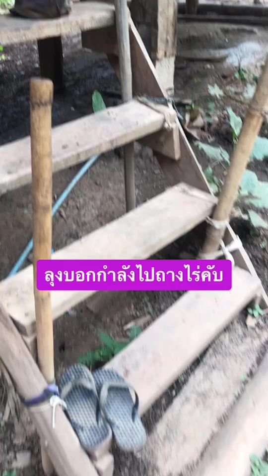 TikTok video thumbnail by zeal4289