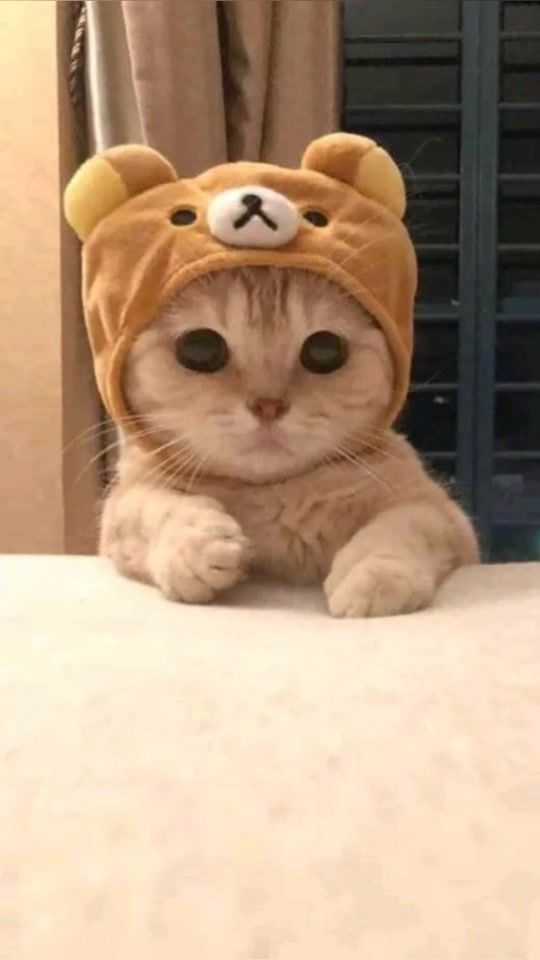 TikTok video thumbnail by ofcminri