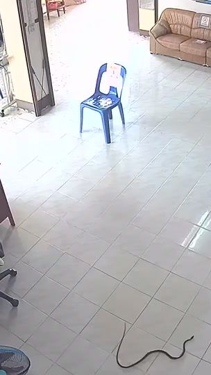 TikTok video thumbnail by nusao1