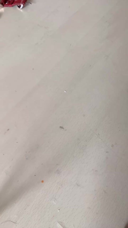 TikTok video thumbnail by bitblt_korry