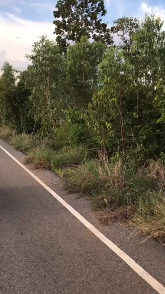 TikTok video thumbnail by tuble420