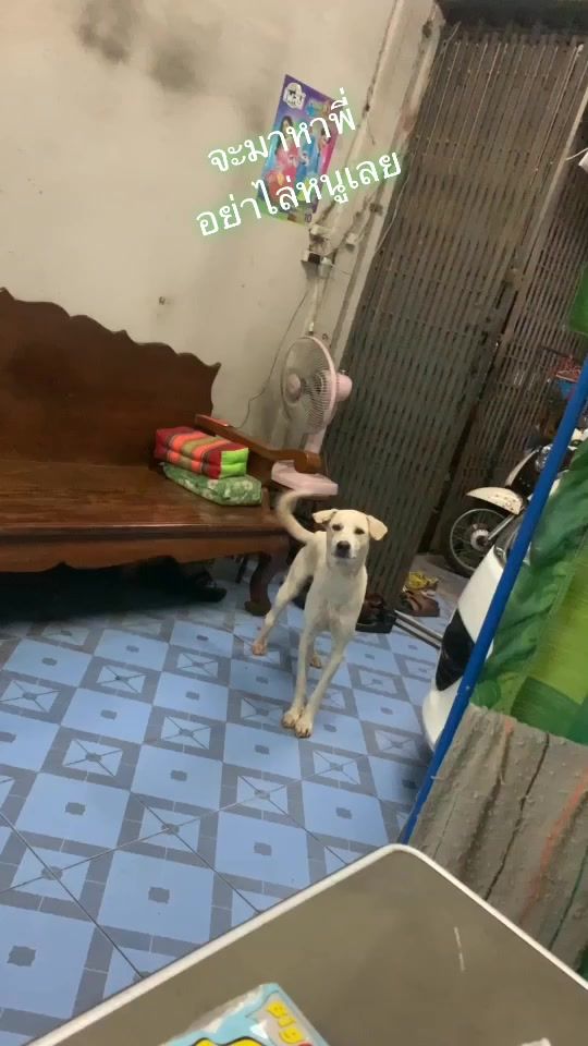 TikTok video thumbnail by khunnara29
