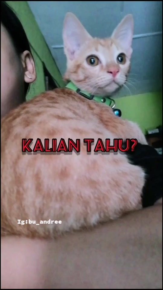 TikTok video thumbnail by litamfaridah93