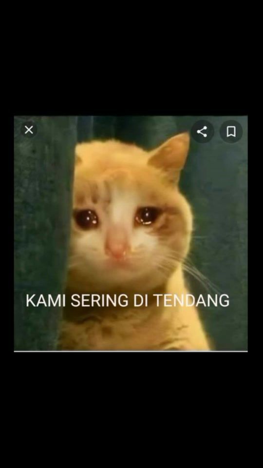 TikTok video thumbnail by auragaming054