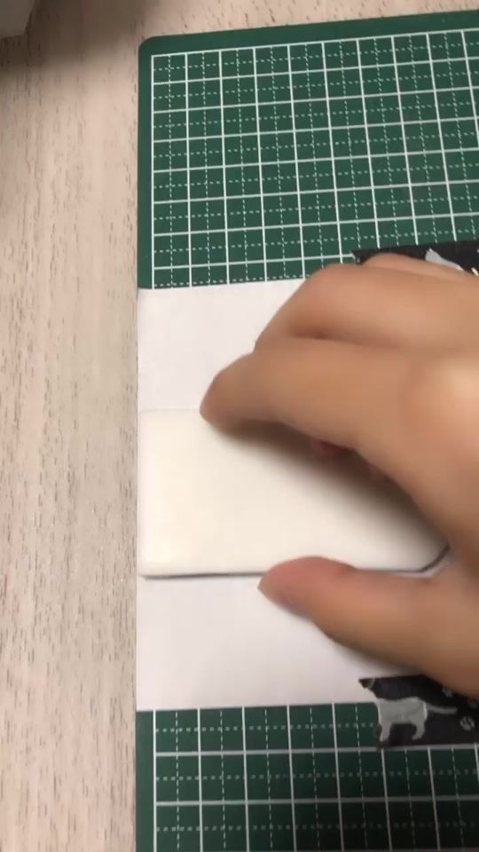 TikTok video thumbnail by mana_wo323
