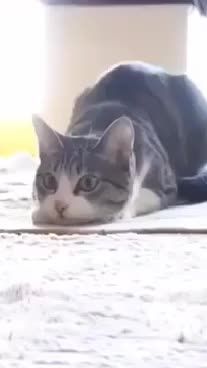 TikTok video thumbnail by 2170739033