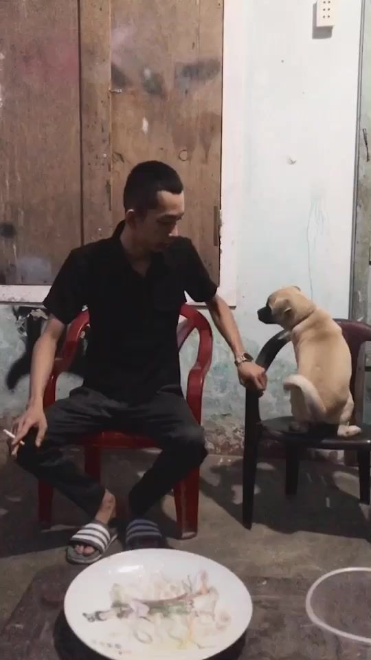 TikTok video thumbnail by phamngoctinh