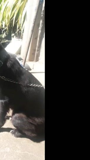 TikTok video thumbnail by jbfajader