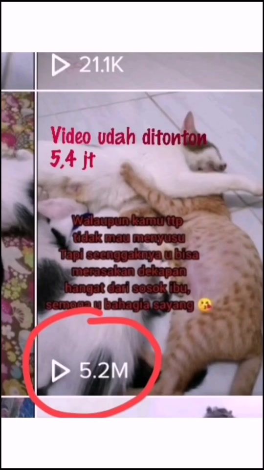 TikTok video thumbnail by litamfaridah93