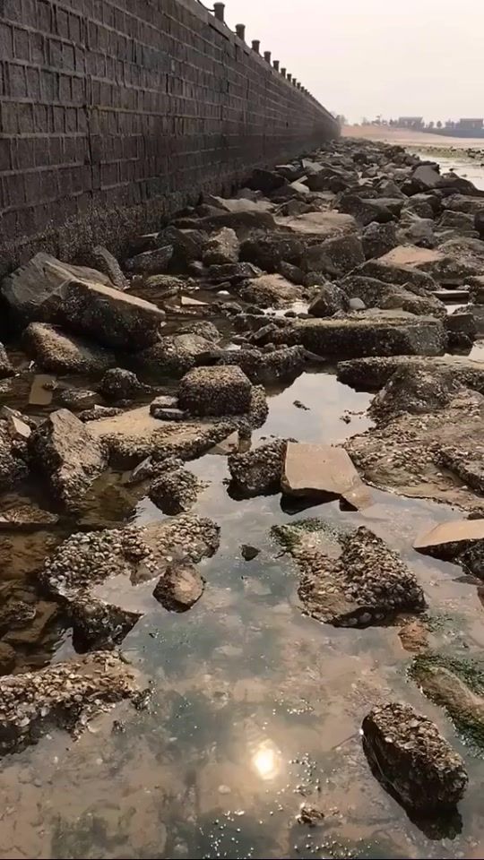 TikTok video thumbnail by yeubien