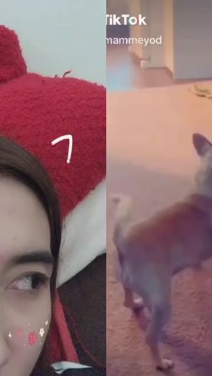 TikTok video thumbnail by itontoey4