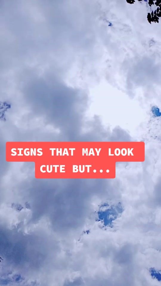 TikTok video thumbnail by lv2366