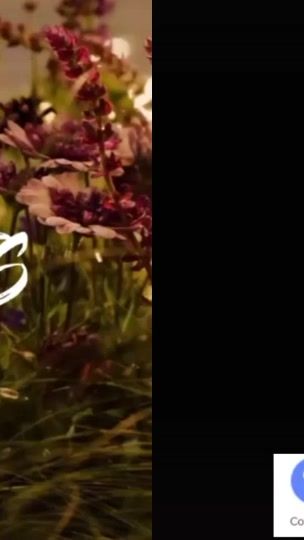 TikTok video thumbnail by yisaman5
